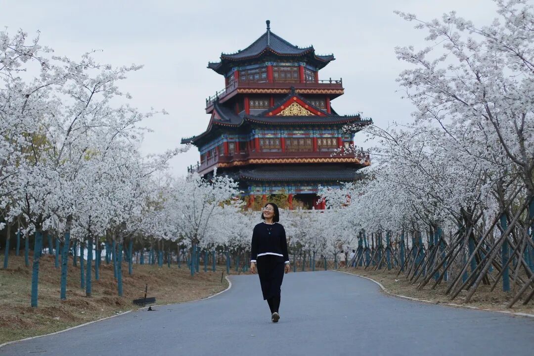 中年姐姐樱花树下拍照,7个动作,拍出自然温婉大片感