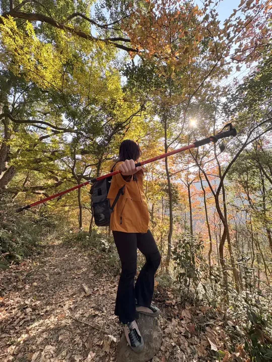🍁江浙沪最美秋景|南黄古道徒步攻略