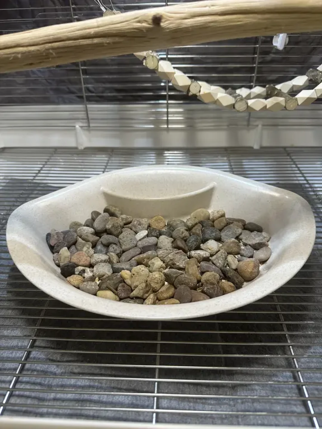 你布置鸟笼的方法可能是错的