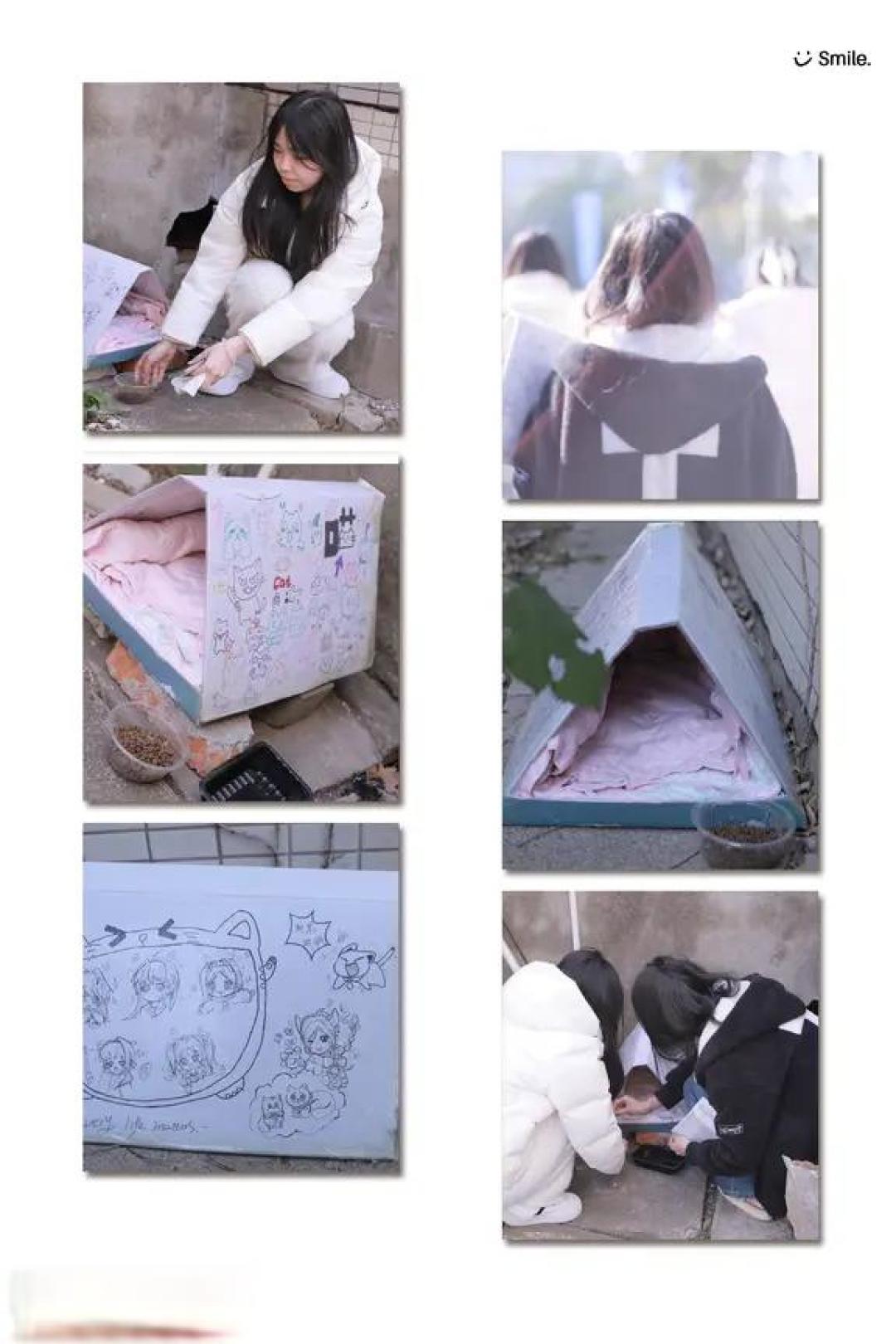 不好!学校有人要打猫!😭