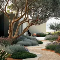 自带氧气的松弛感南法花园🌳