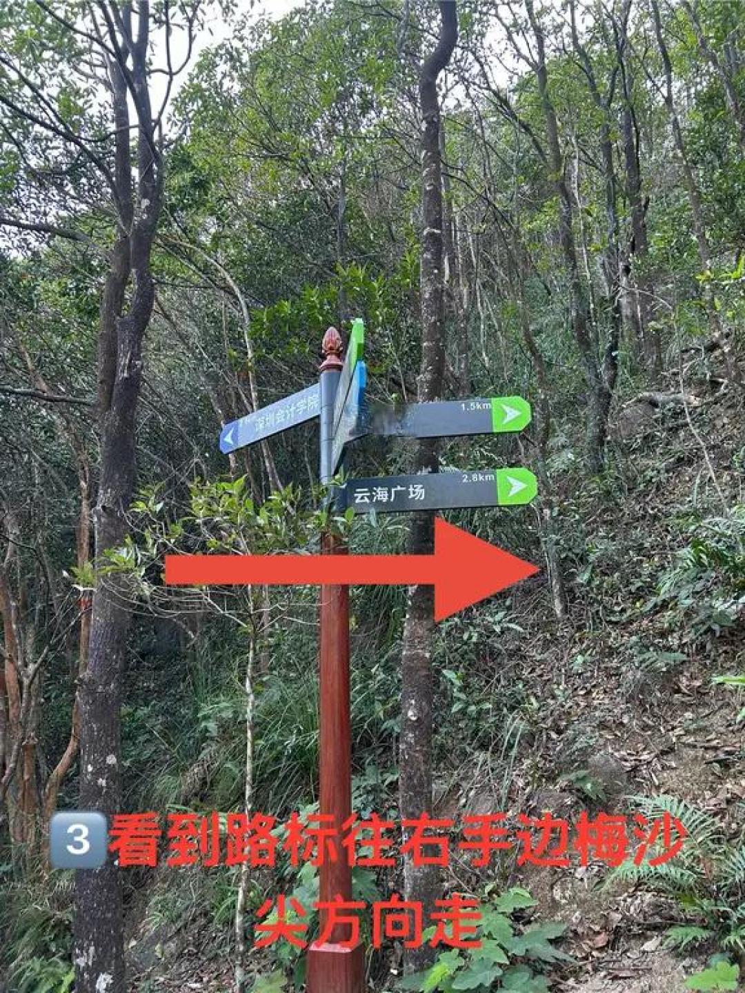 深圳梅沙尖徒步攻略⛰️🌊