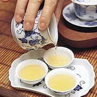 泡茶水温怎么控？新手看过来