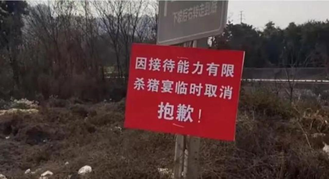 刨猪宴火爆背后:真诚无法模仿,流量呼唤善治与巧思