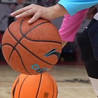 4BD系列中国全场景篮球方案