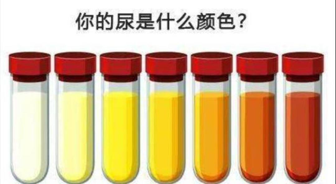 从健康肾到尿毒症的4步演变,身体的求救信号你收到了吗