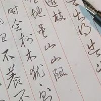 书法绘画双绝✨毕加索弯尖木钢笔美到失语