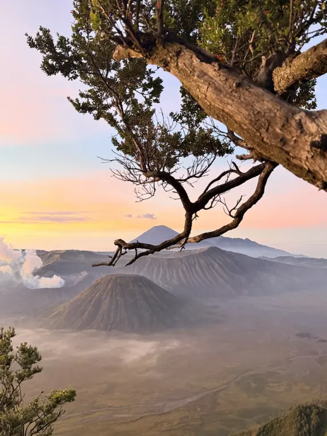 Bromo火山🌋攻略 我站上了“地球的脉搏”