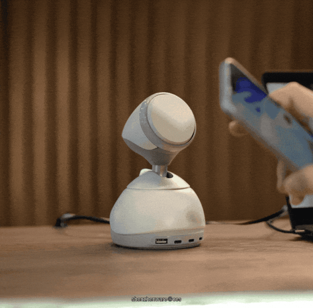 把具身 AI 养在桌面上:LOONA Deskmate 如何用刚需接住大模型的地气?| CES2026