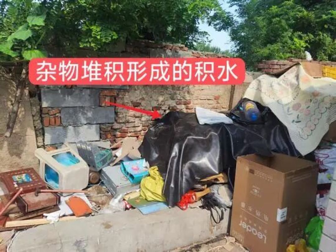 雨后蚊子增多？教你几个超实用的居家防蚊灭蚊小技巧，安全高效无遗漏！