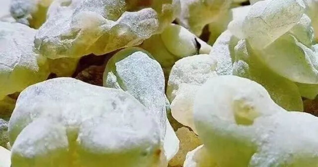 乳香精油——们
