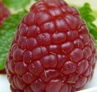 舒缓芦荟胶品牌十大排名