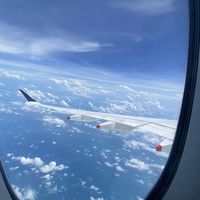 国际航班体验(三)新加坡航空