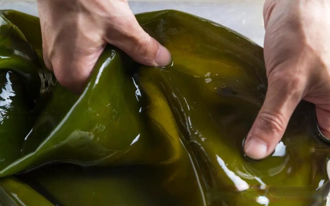 泡干海带，用凉水还是热水？教你正确做法，10分钟全泡开，没腥味