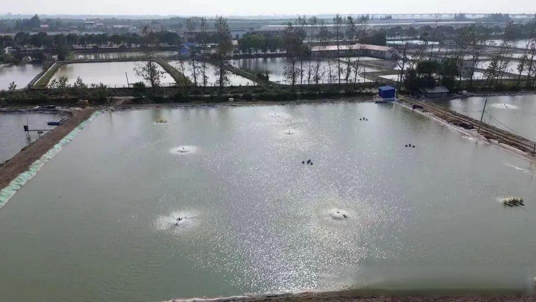 技术分享：鱼虾蟹养殖如何科学选择增氧机
