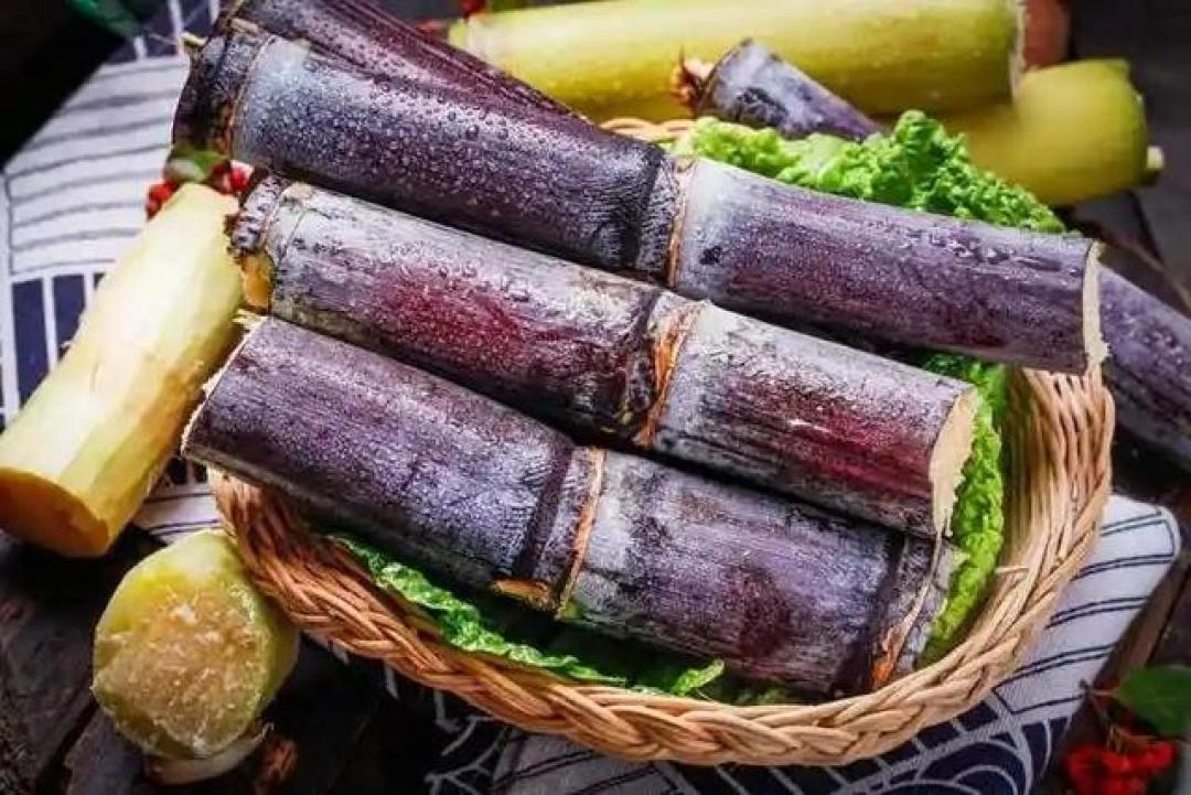 甘蔗立大功!医生调查:甘蔗可能对这3种慢性病有好处!可以常吃
