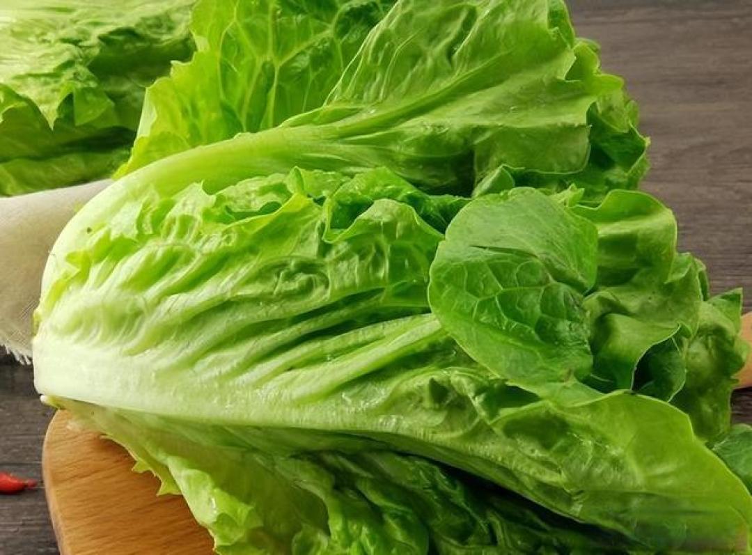 冬天不知道怎么买菜?锁定这4样!天然无农残,随手一炒都好吃