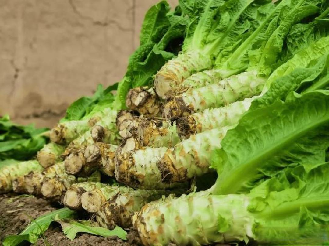 冬天不知道怎么买菜?锁定这4样!天然无农残,随手一炒都好吃