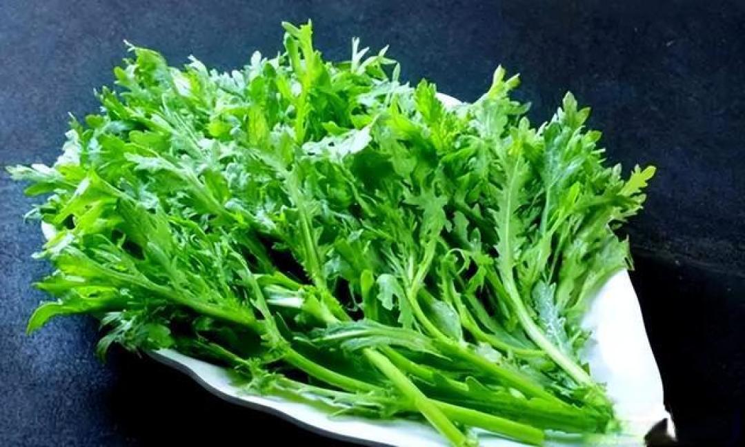 冬天不知道怎么买菜?锁定这4样!天然无农残,随手一炒都好吃