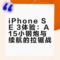 只要599元的苹果小屏性能机，还带LCD护眼屏