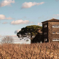 《神之水滴》力荐：拉菲旗下一级名庄精品干白