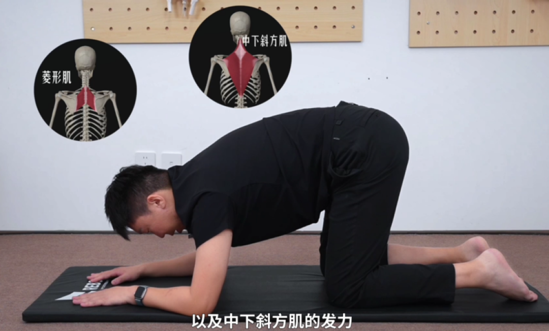 【肩膀前侧疼】俯卧撑做不起来？可能是肱骨前移！
