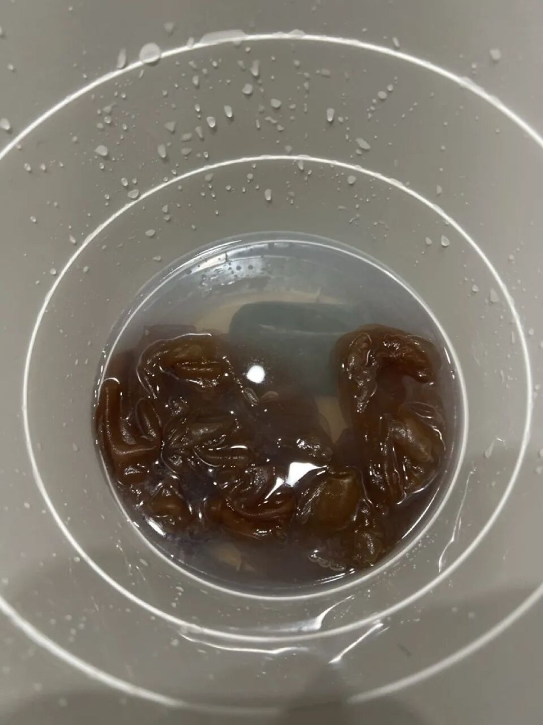 让美在岁月之后依然被看见