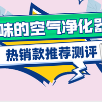 2026能除烟味的空气净化器哪款好？高性价比除烟味空气净化器评测