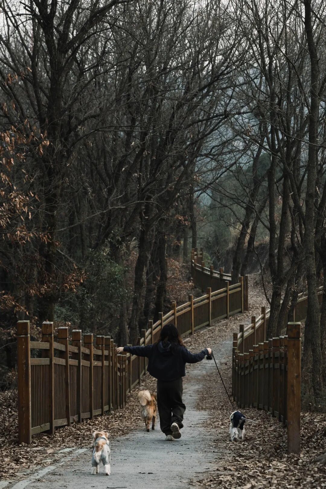 成都车程1小时|徒步山脊绿道，邂逅沱江全景