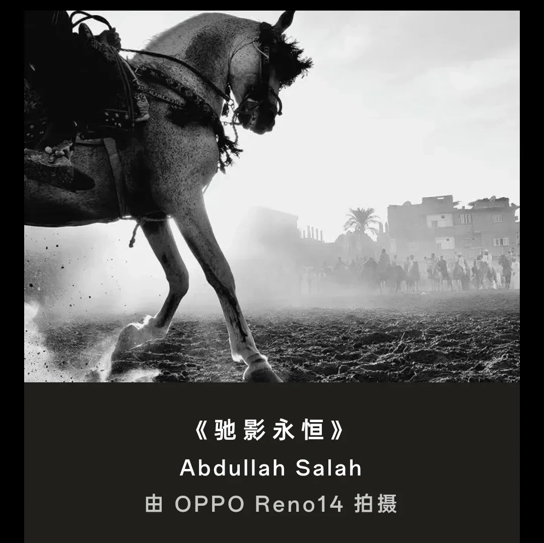 OPPO影像大赛黑白获奖作品封神