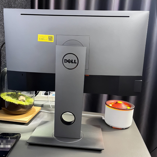 才发现，二手鱼的显示器居然这么香？戴尔专业级显示器跌至450元