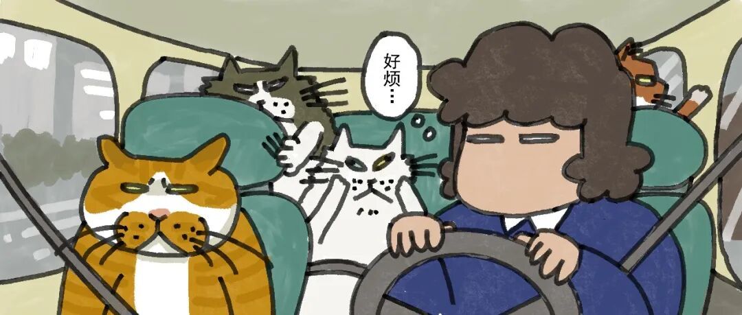 猫咪出门坐车去医院的适应性训练