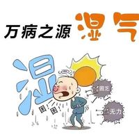 湿气全攻略：从