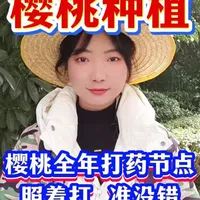 樱桃全年打药节点 照着打准没错#樱桃 #车厘子 #樱桃种植 #三农 #樱桃种植技术