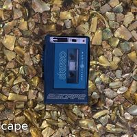 庞大的随身听收藏！便携式磁带播放器多不胜数！