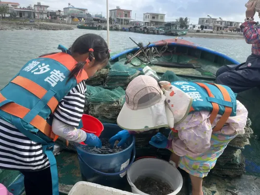 🌊海南亲子游:陵水拉地笼的宝藏行程🎉