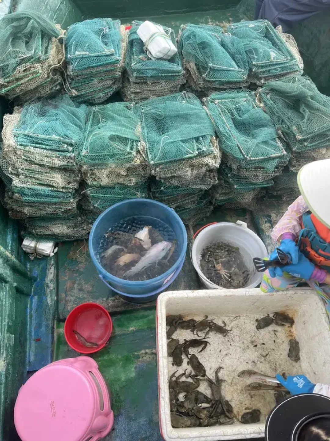 🌊海南亲子游:陵水拉地笼的宝藏行程🎉