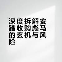 聊聊安踏收购彪马（Puma）