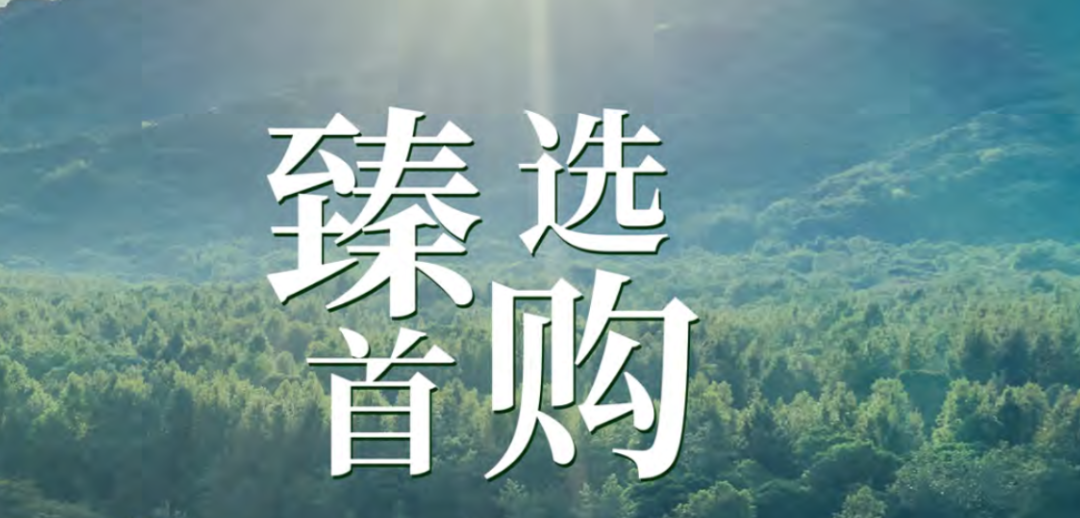 芳香生活指南|新手入门·必看锦囊:多特瑞首购套组如何选购?一篇解决所有选择困难!