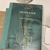 《卡拉马佐夫兄弟》：俄国的冬天与木屋里的一簇篝火