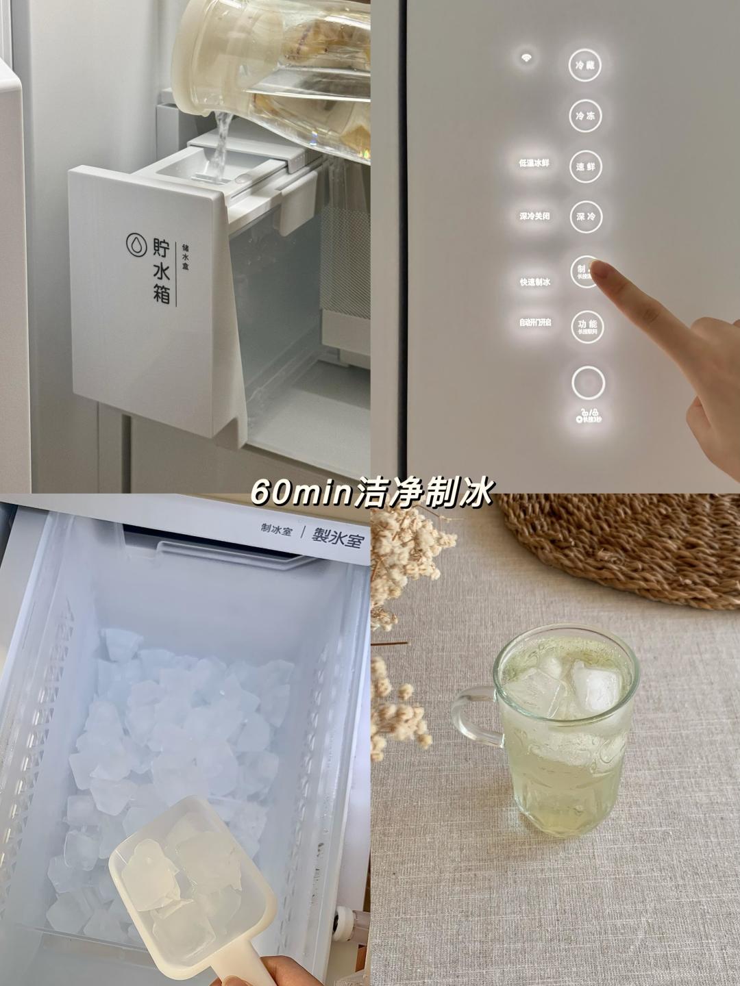 为什么有些冰箱能用十年不被淘汰?现象级爆款东芝大白梨系列冰箱推荐,既好看又好用!