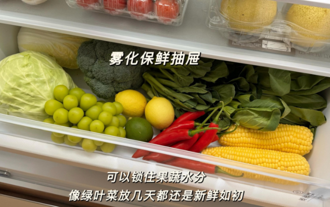 为什么有些冰箱能用十年不被淘汰?现象级爆款东芝大白梨系列冰箱推荐,既好看又好用!
