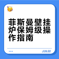 德国菲斯曼冷凝炉常规操作说明