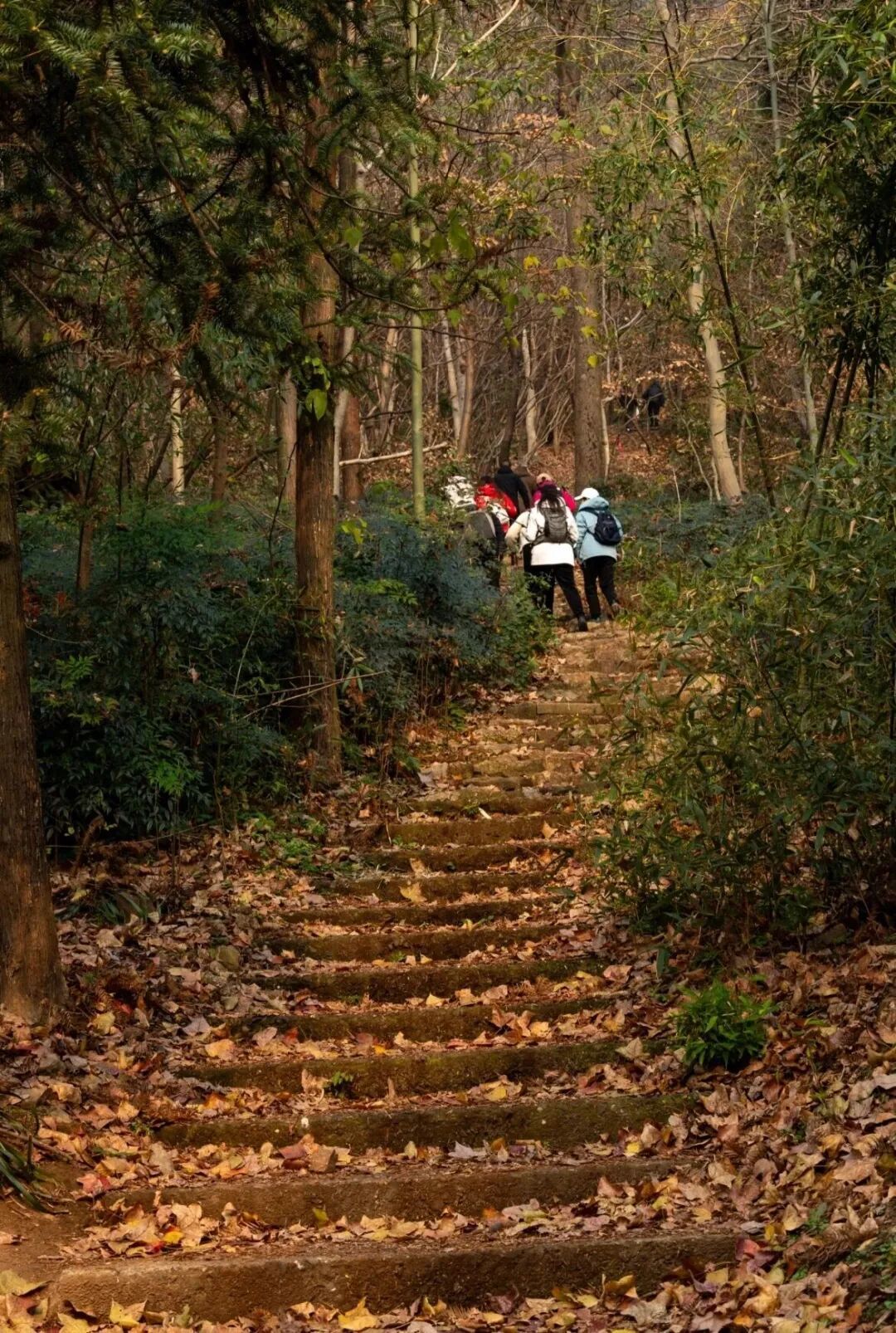 三条老山专业级越野线路,现在就出发!