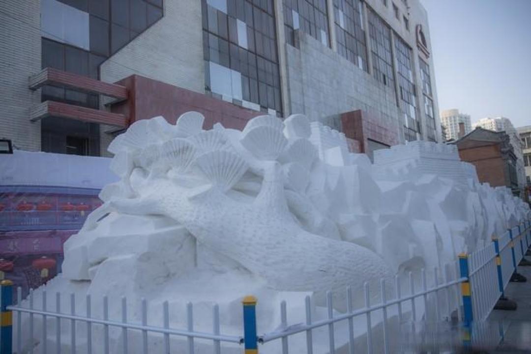 【春节独家】哈尔滨避坑全攻略:本地人都不一定知道的冰雪玩法