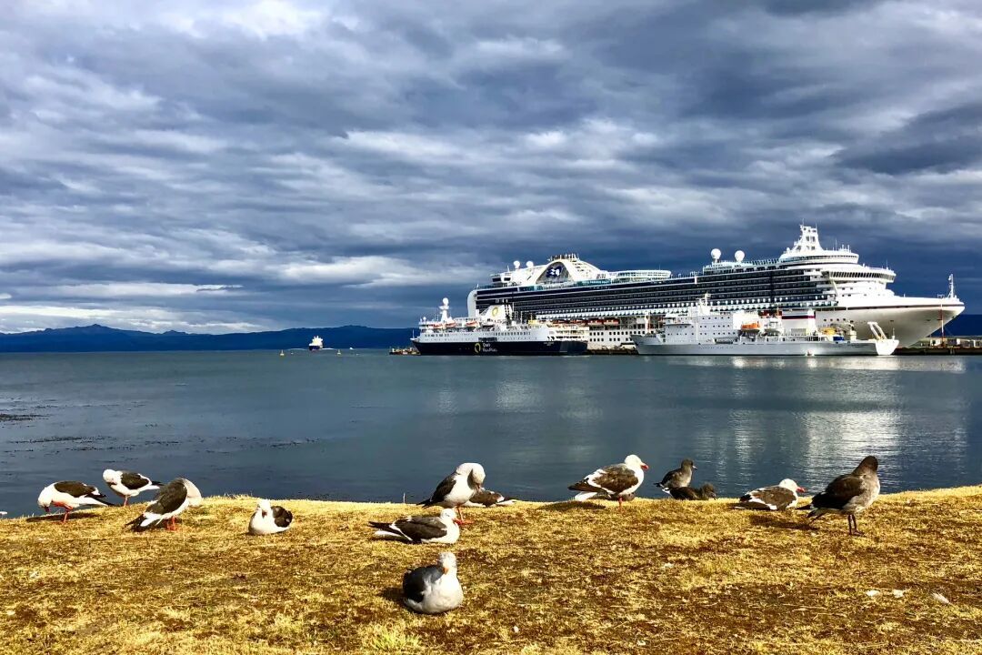 南美篇-10 Ι 阿根廷|乌斯怀亚Ushuaia-3日游