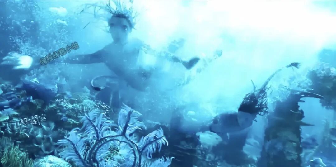 观影体验｜在阿凡达的海底看见“母体联结”                               从一部电影，游进万物之间的隐形回路