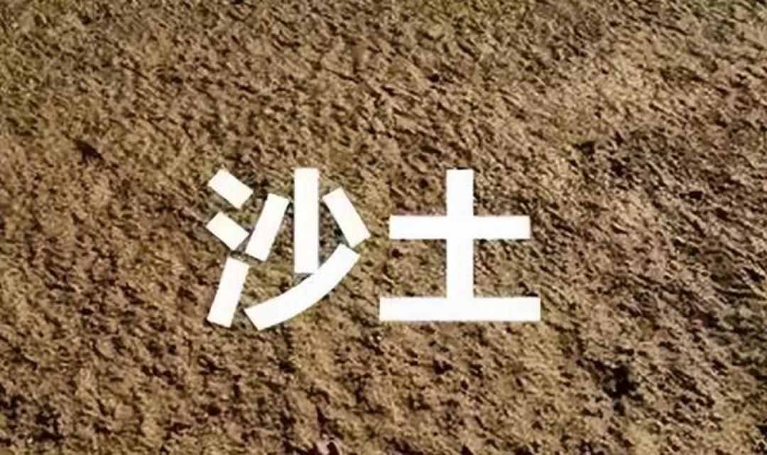施肥没效果?原来土壤才是关键!5种土壤施肥秘籍,一看就会!