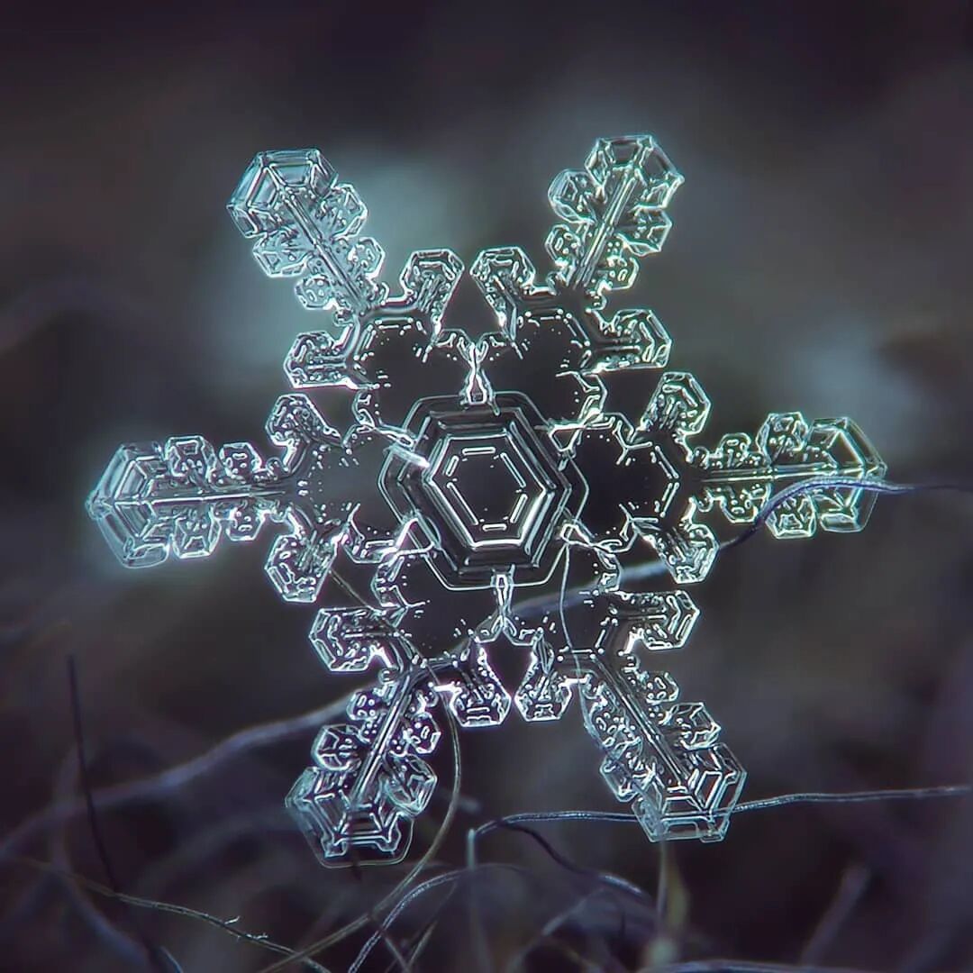 他用一部烂相机,花了10年时间只拍一朵雪花,当照片放大1000万倍,令人咋舌