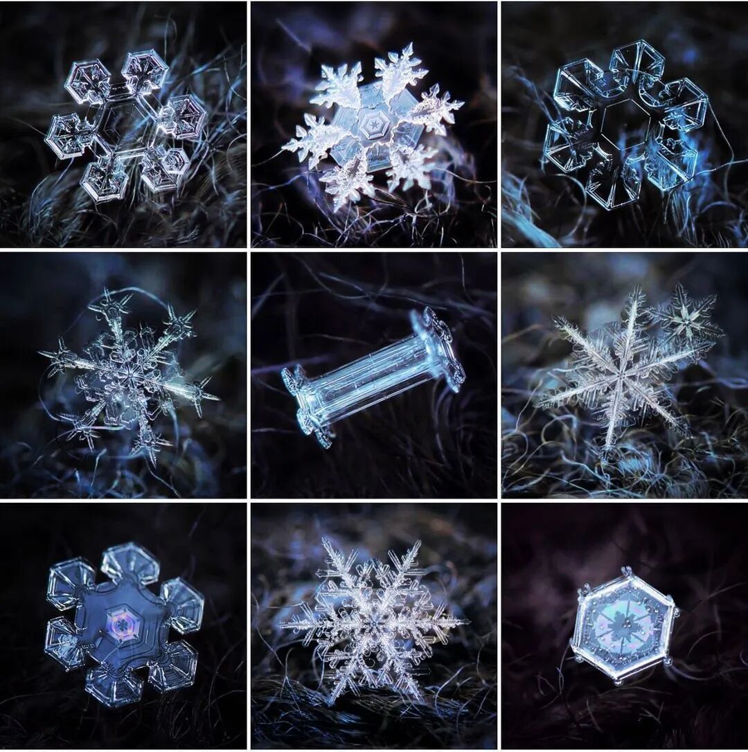 他用一部烂相机,花了10年时间只拍一朵雪花,当照片放大1000万倍,令人咋舌